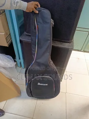 Acoustic Guitar Bag