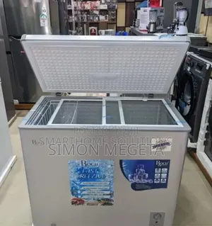 With14months Warranty Roch 354l Freezer