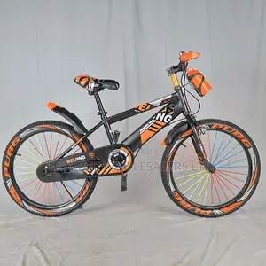 Beijing Sport Size 20 Kids Bike With Adjustable Seat