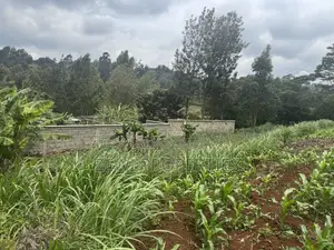 Quater Acre Ngere Road Kibiku