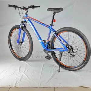 Ride Strong, Ride Far – Xbicycle 29-Inch Adult Bike