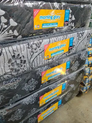 5x6×8 Inches Morning Glory Quilted Top Mattress – Extra Thick Comfort