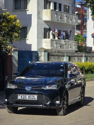 Toyota Corolla Fielder 2018 Black
