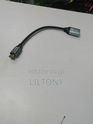 Mini Hdmi to Female Hdmi Adapter