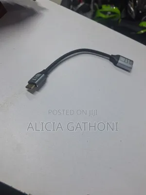 Mini Hdmi to Hdmi Male Adapter