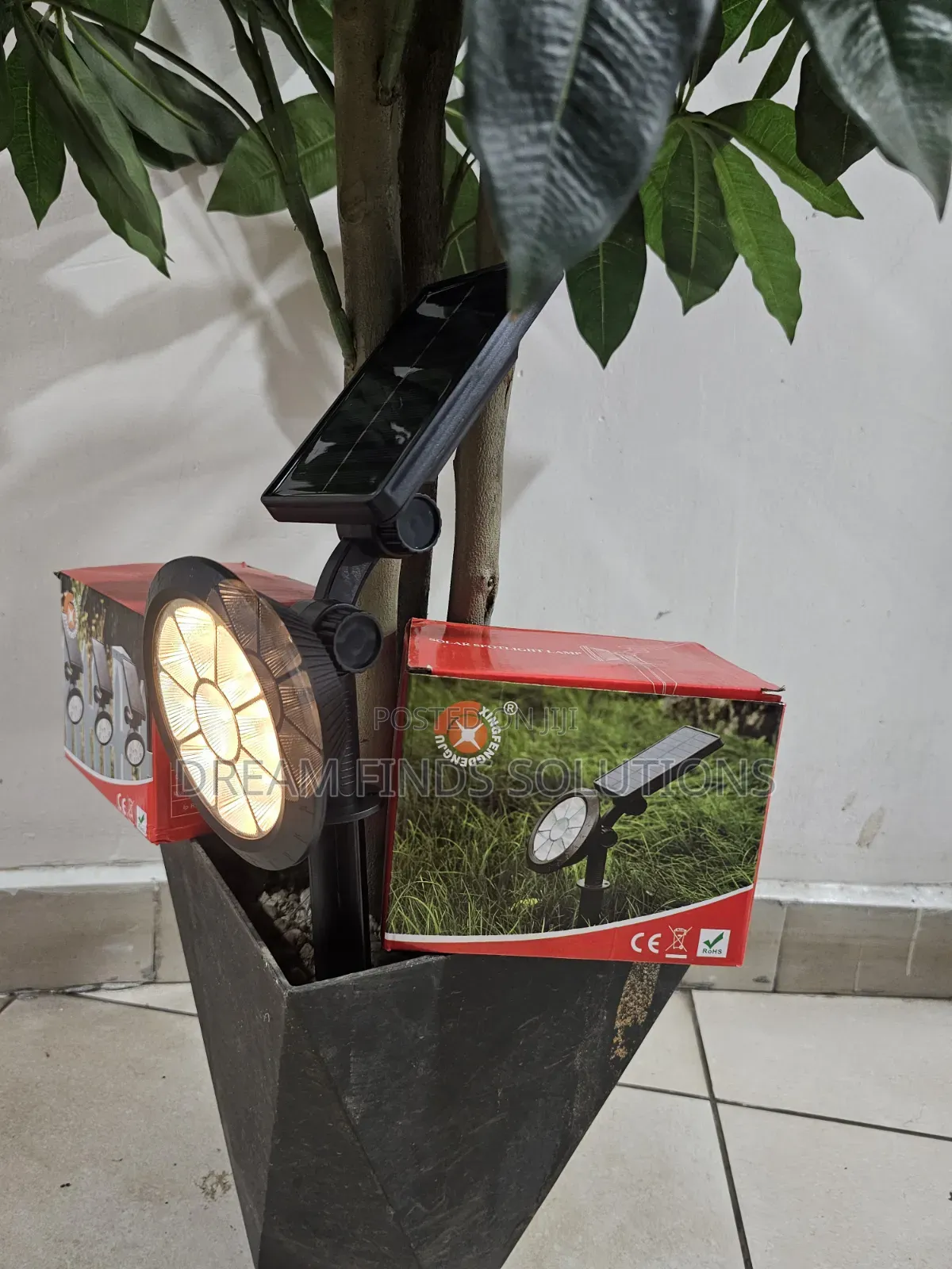 Outdoor Solar Light