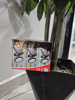 Decorative Solar Lighting