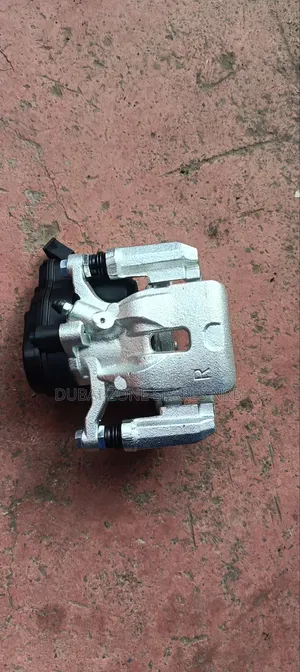 Rear Electric Calipers Harrier.