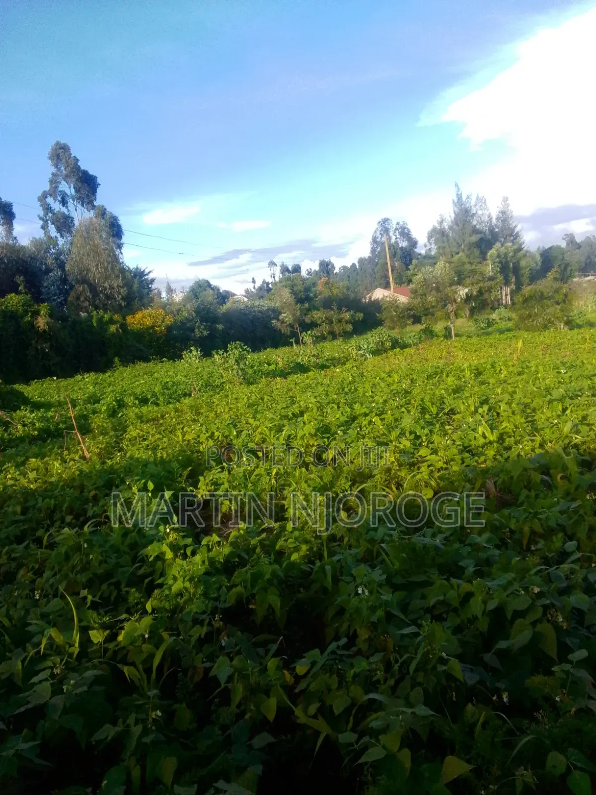 3⁄4 Acre Plot Ngarariga