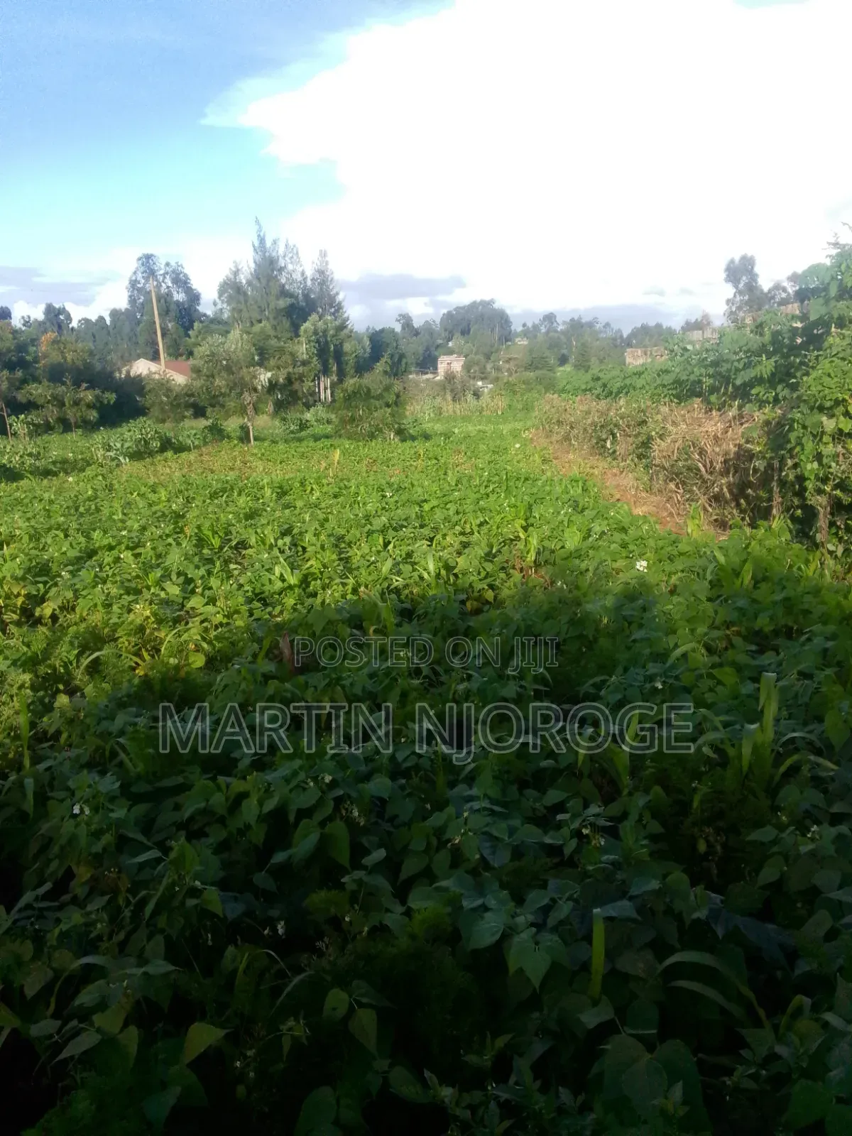 3⁄4 Acre Plot Ngarariga
