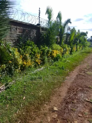 Mixed Farm, Ngarariga