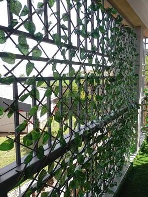 Expandable Ivy Fence | Balcony Garden Use