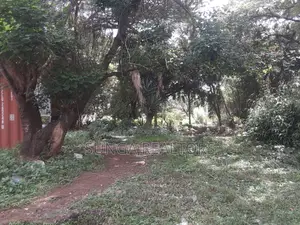 Commercial Property for Sale in Kilimani