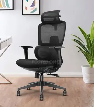 Office Chair : Mesh Orthopedic Executive High-Back Office Chair