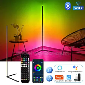 Corner Floor Lamp