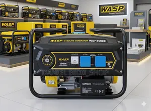 Wasp Petrol 4stroke Powerful Generator 3kva