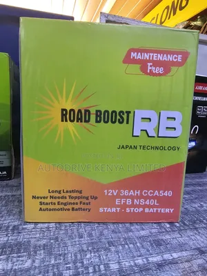 Ns40 Roadboost Efb Start-Stop Battery