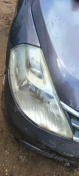 Proffessional Head Light Cleaning Services