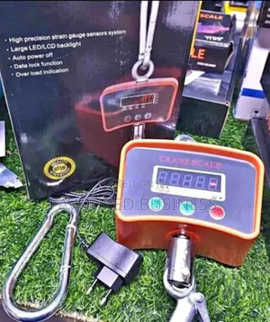 Long Time Warrant 500kg Mini Crane Scale /Best Quality Weighing Scale