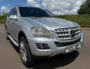 Mercedes-Benz M Class 2010 Silver