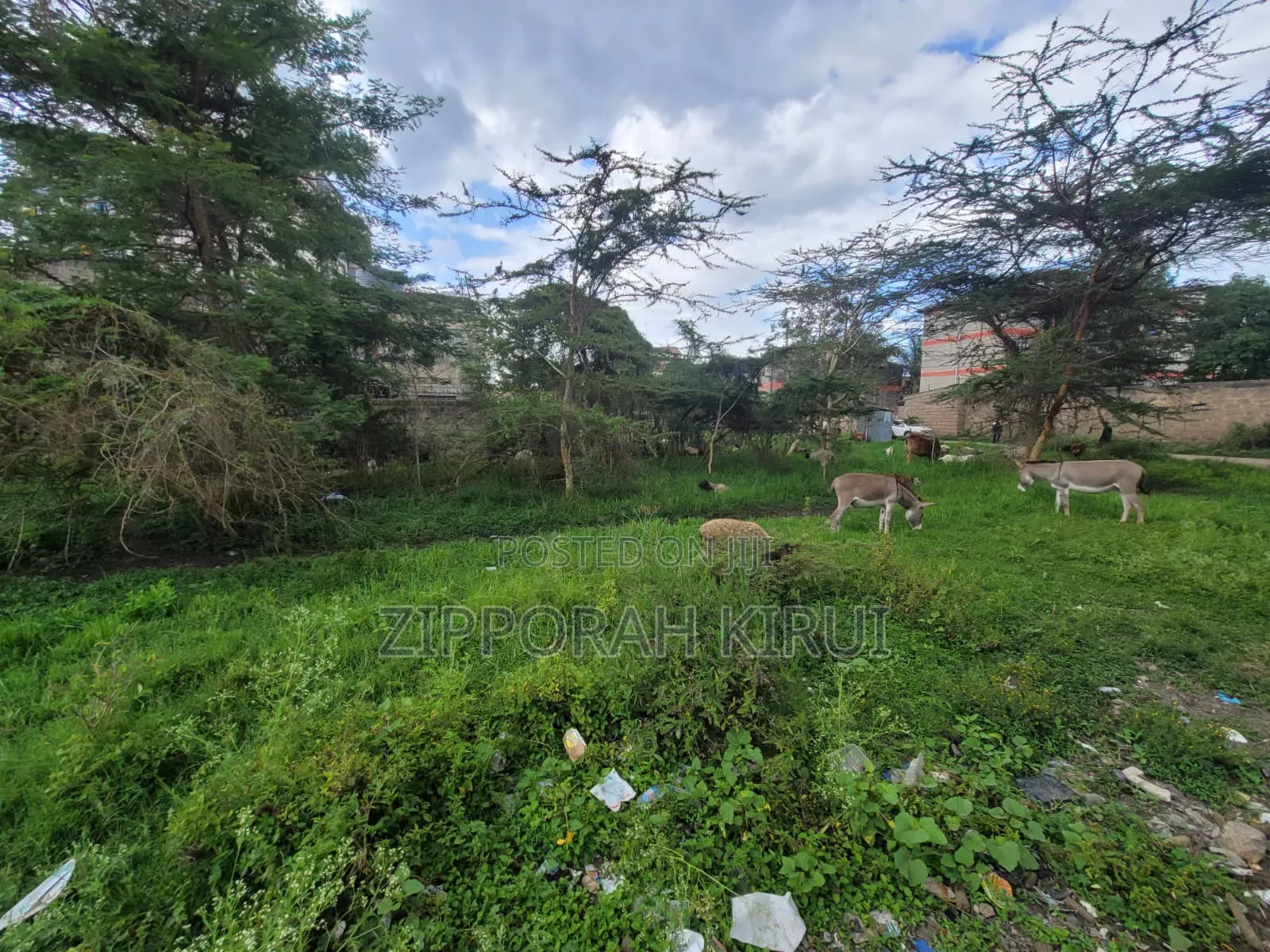 Prime Plot for Sale