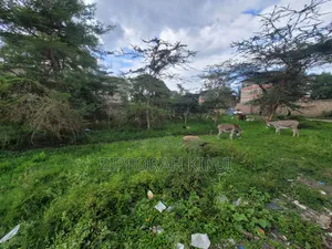 Prime Plot for Sale