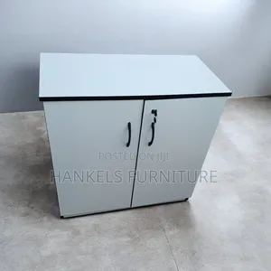 2 Door Wooden Credenza Office Cabinet Stylish Office Organizer