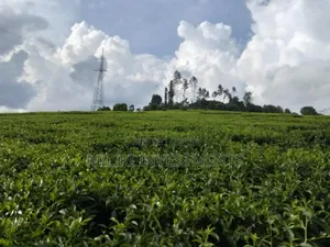 3 Acres on Sale at Kangari-Gituru