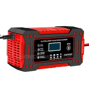 12v Intelligent Pulse Repair Battery Charger