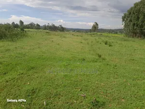 Lands and Property for Sale