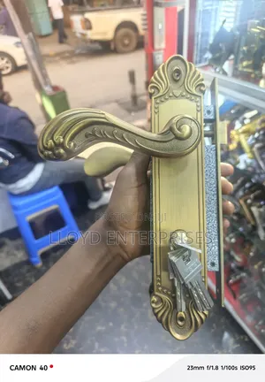 Decorated Wista Steel/Mahogany Door Lock