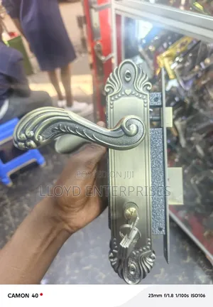 S Handle Decorated Wista Door Lock