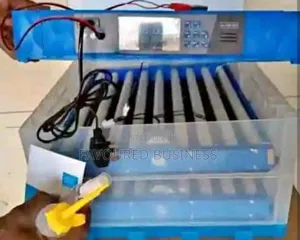 Top Quality 64 Eggs Incubator Ac Dc/ Power Supply Egg Incubator