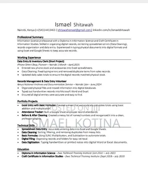 Admin Support, Cv Editing, Data Entry Records Organization