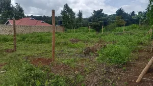 50x100 Plot for Sale in Kamangu