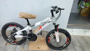 Bike Size 20 With Gear