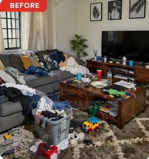 House Cleaning/Organization /Washing