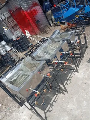 Stainless Steel Gas Fryer Double Bowl.