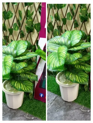 Artificial Home Decor Plants