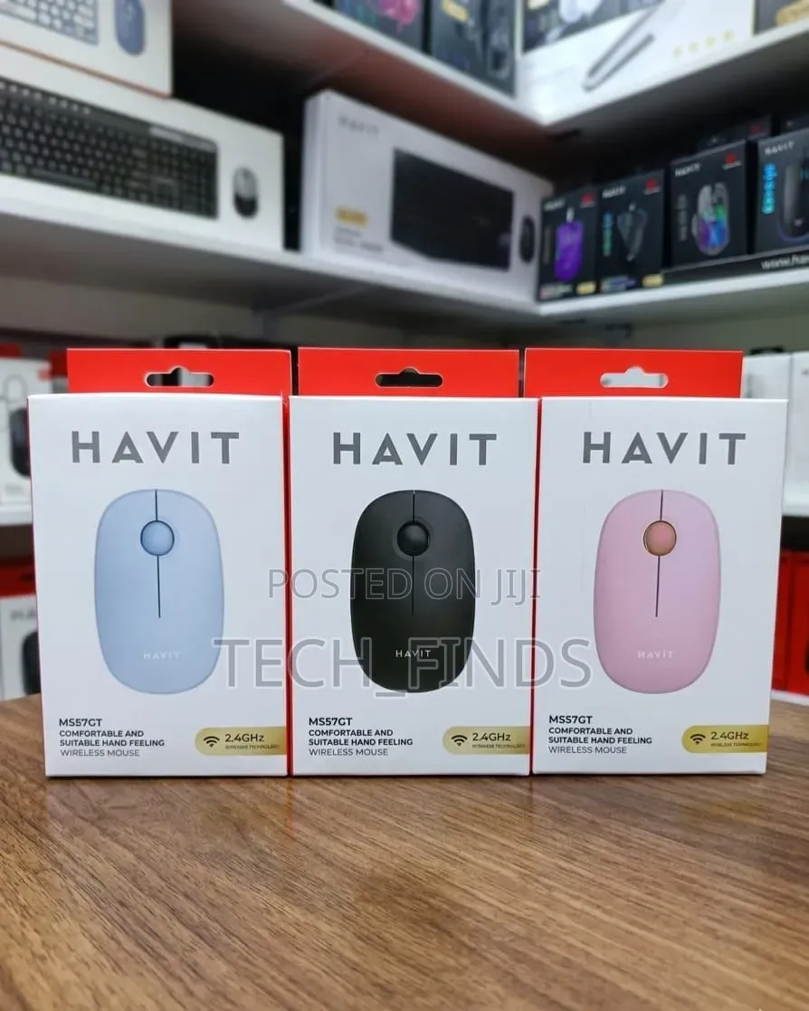 Havit Ms57gt Pc Series-Wireless Mouse