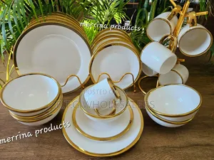 24 Piece Gold Rimmed Luxury Dinner Set for Family Dining