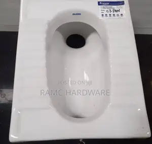 Step Asian Toilet