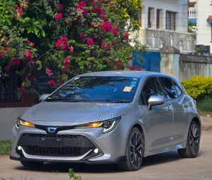 Toyota Corolla 2019 Silver