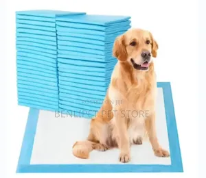 Super Absorbent Disposable Dog Potty Training Pee Pads - 10pcs