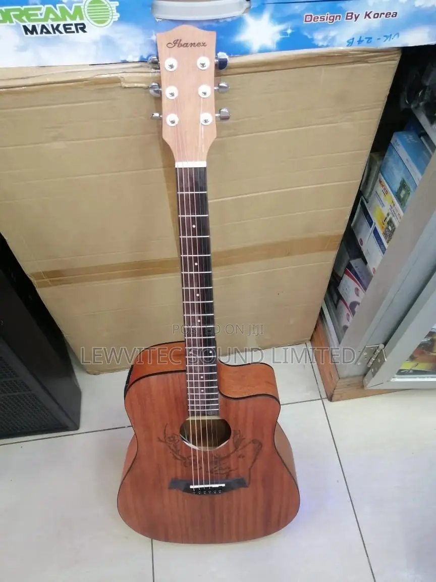 Ibanez Semi Acoustic