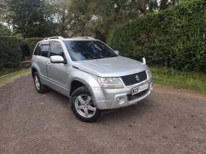 Suzuki Escudo 2008 Silver