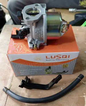 Gx160 2kw/3kw Generator Carburetor