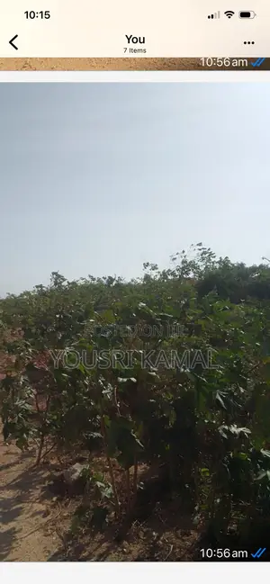 Land and Plot for Sell