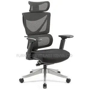 Orthopedic Imported Mesh Reclining Chair