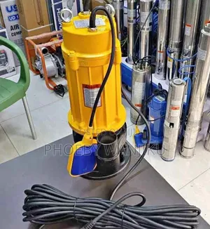 Freevel Sewage Pump/2hp Submersible Sewage Pump
